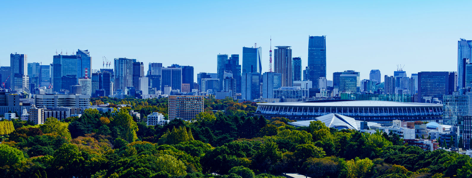 建築資材のアシスト業一筋。半世紀を超える実績と信頼で、都市建設の一翼を担っています。